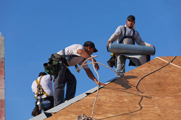 Best Commercial Roofing Services  in New Waverly, TX