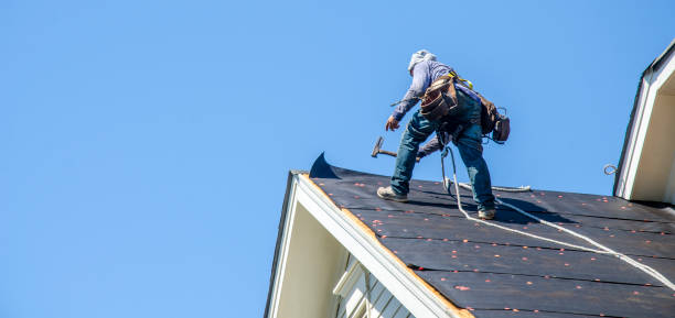 Best Sealant for Roof  in New Waverly, TX